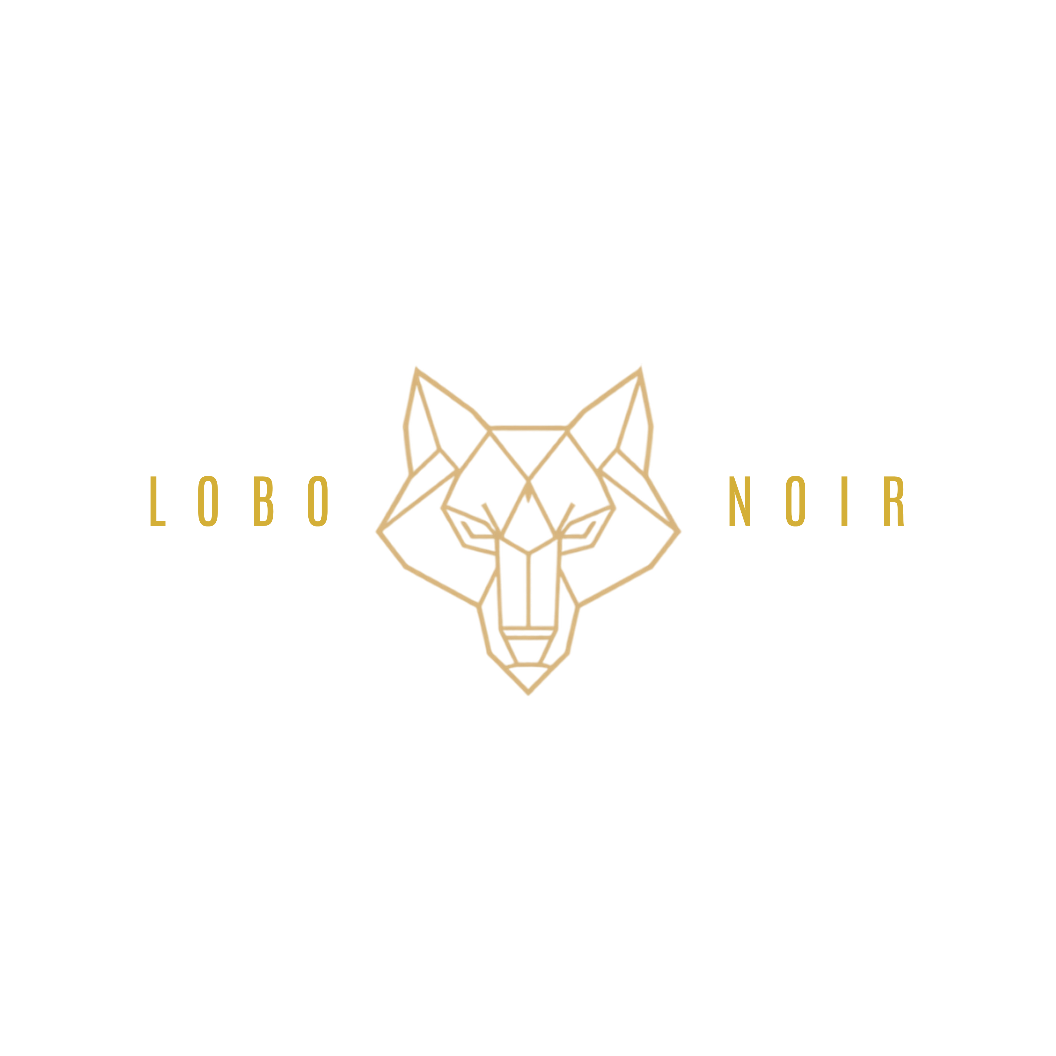Lobo Noir web development studio Cape Town